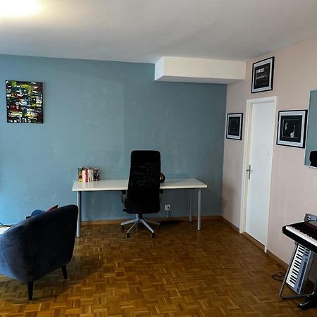 Beautiful Large Studio In Center Of Geneva Free Wifi Appartement Buitenkant foto