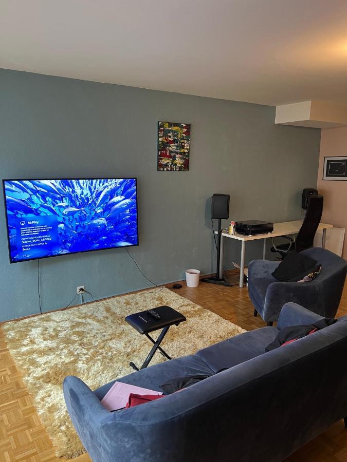 Beautiful Large Studio In Center Of Geneva Free Wifi Appartement Buitenkant foto
