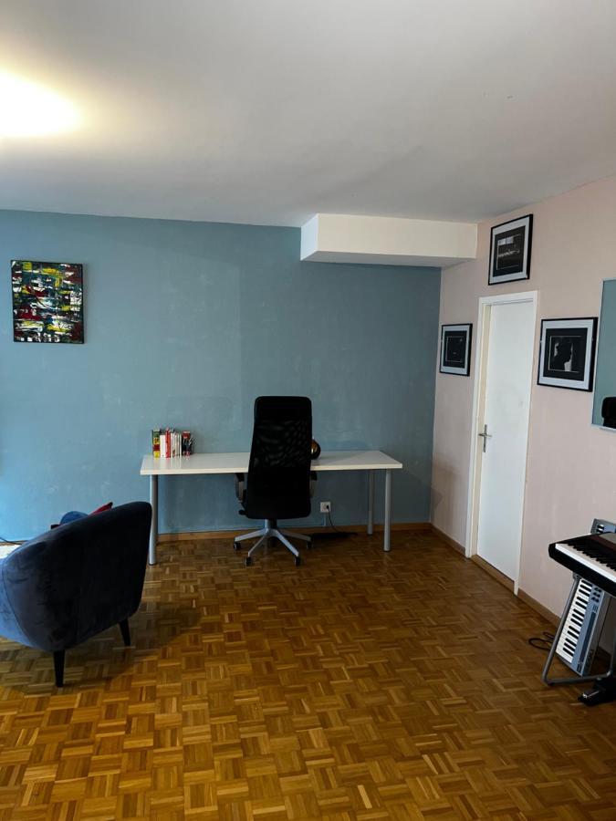 Beautiful Large Studio In Center Of Geneva Free Wifi Appartement Buitenkant foto