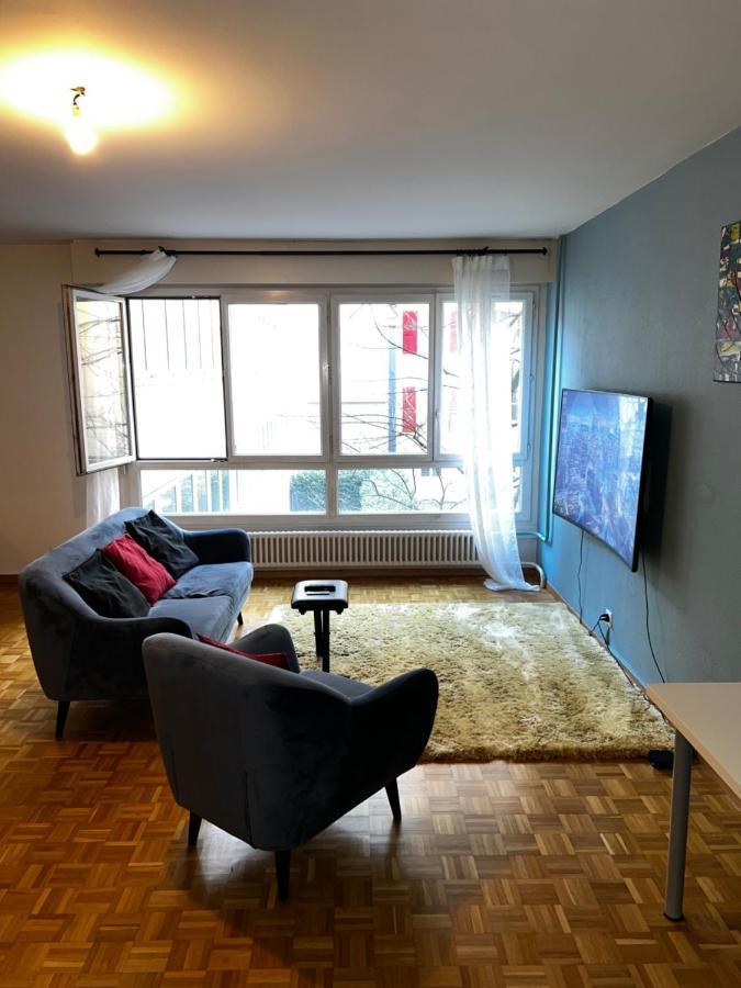 Beautiful Large Studio In Center Of Geneva Free Wifi Appartement Buitenkant foto