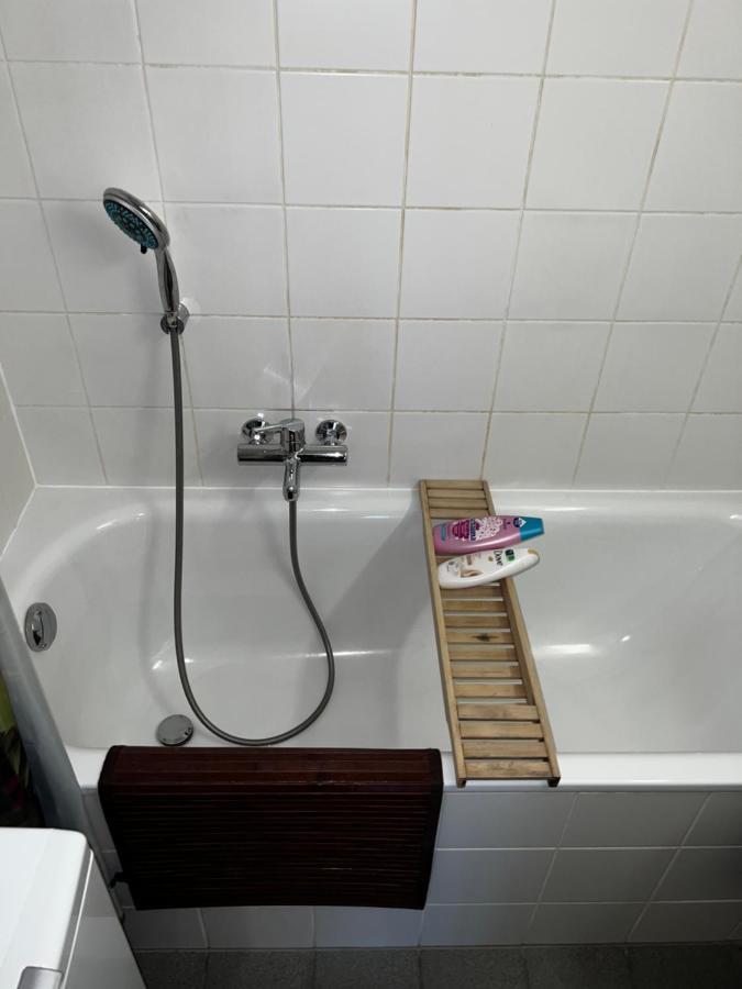 Beautiful Large Studio In Center Of Geneva Free Wifi Appartement Buitenkant foto