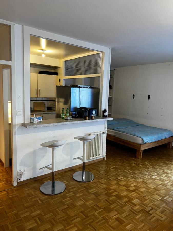 Beautiful Large Studio In Center Of Geneva Free Wifi Appartement Buitenkant foto