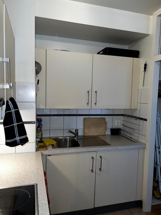 Beautiful Large Studio In Center Of Geneva Free Wifi Appartement Buitenkant foto