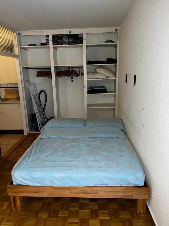 Beautiful Large Studio In Center Of Geneva Free Wifi Appartement Buitenkant foto